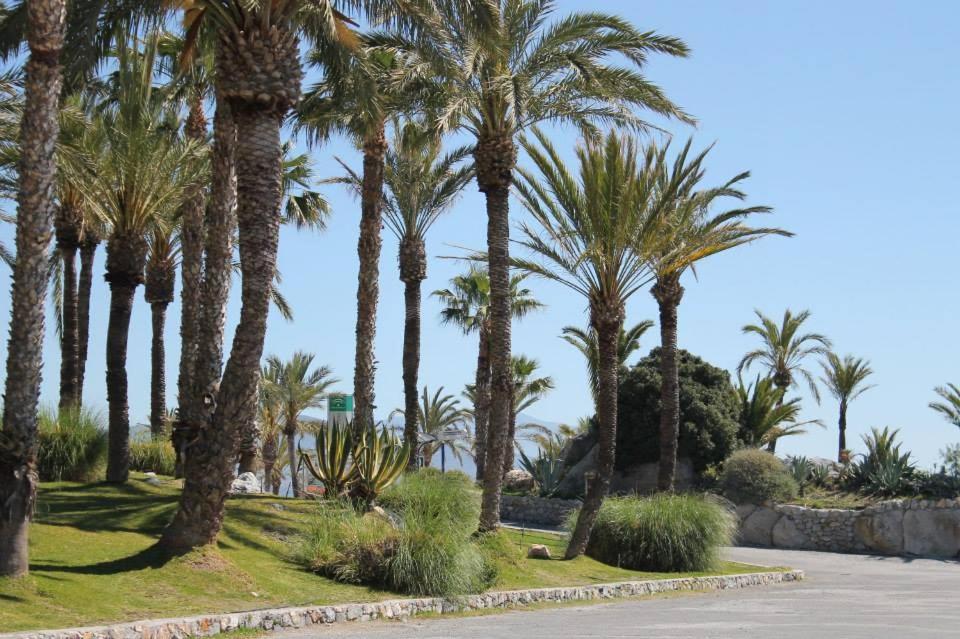 Coral Paradise Apartment With Swimming Pool La Herradura  Exterior foto